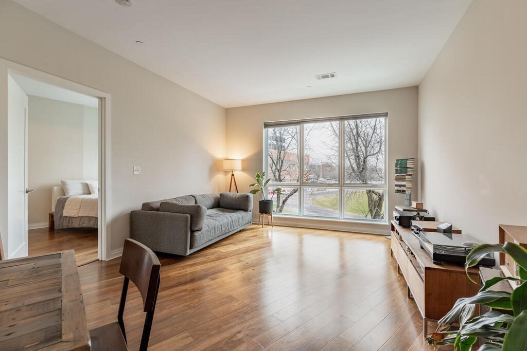 jamaica-plain - #73357258