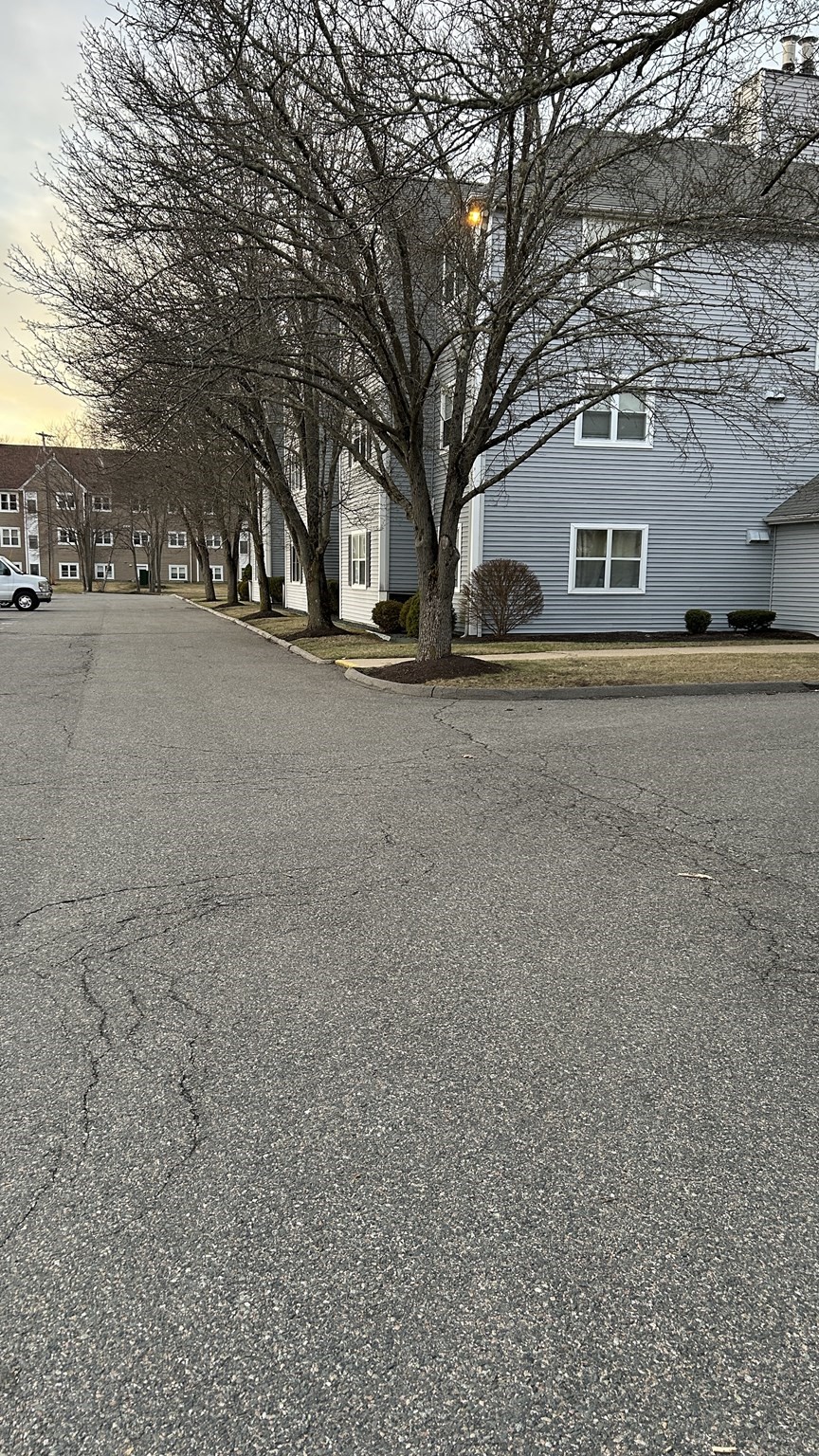 brockton - #73357946