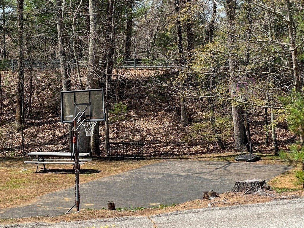 brimfield - #73361735