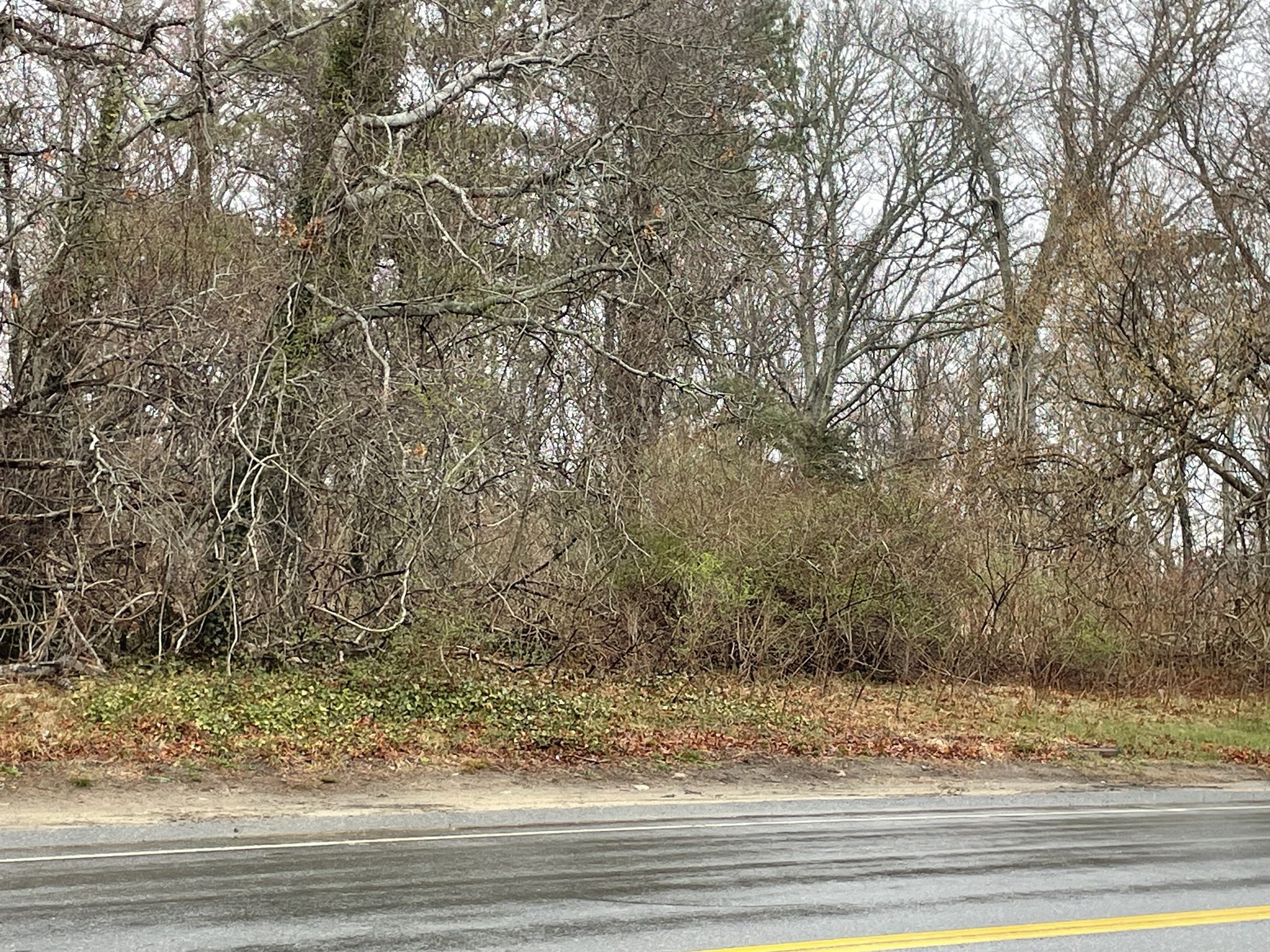 210 Attucks Ln, Barnstable, MA 02601