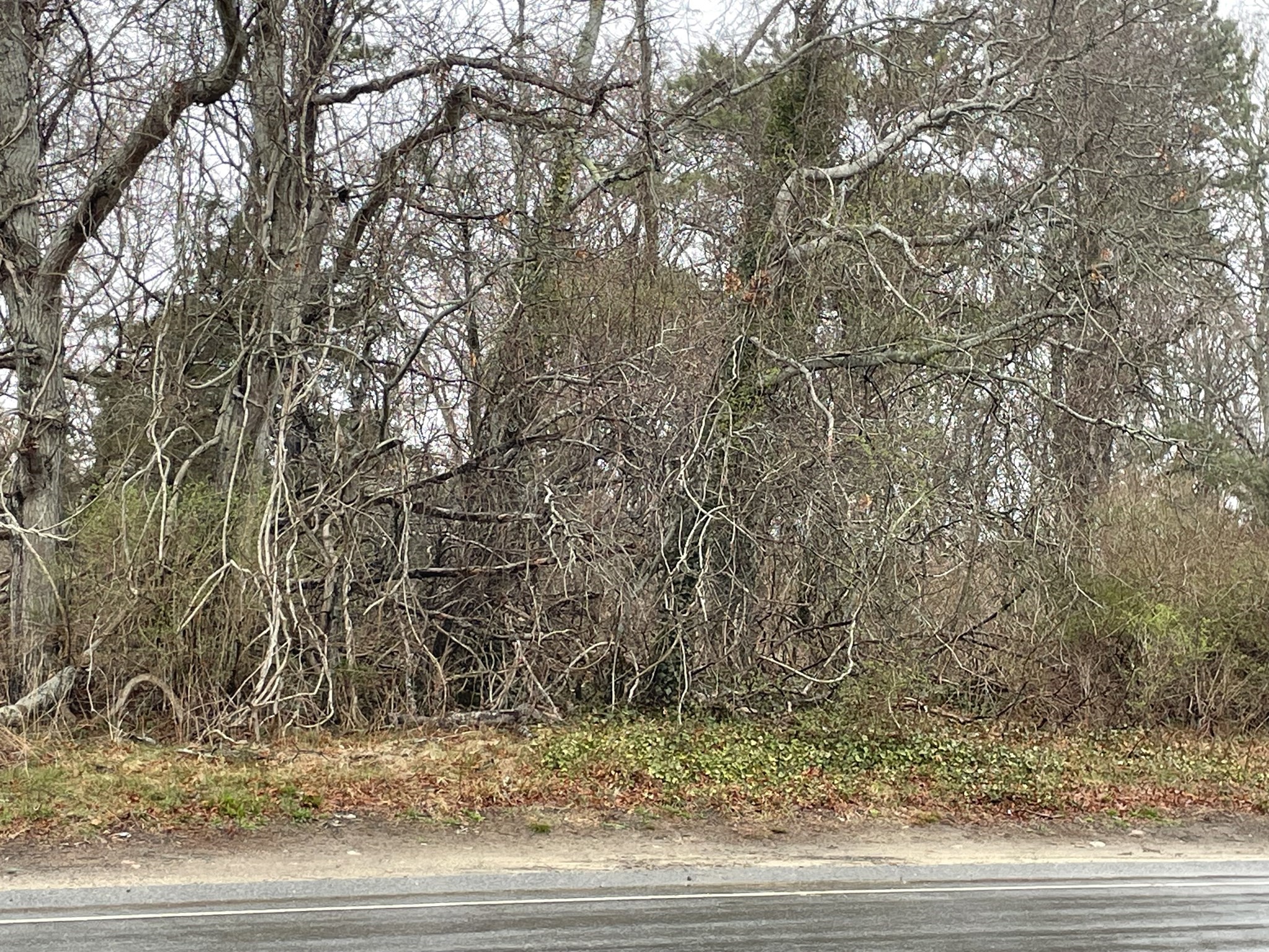 230 Attucks Ln, Barnstable, MA 02601