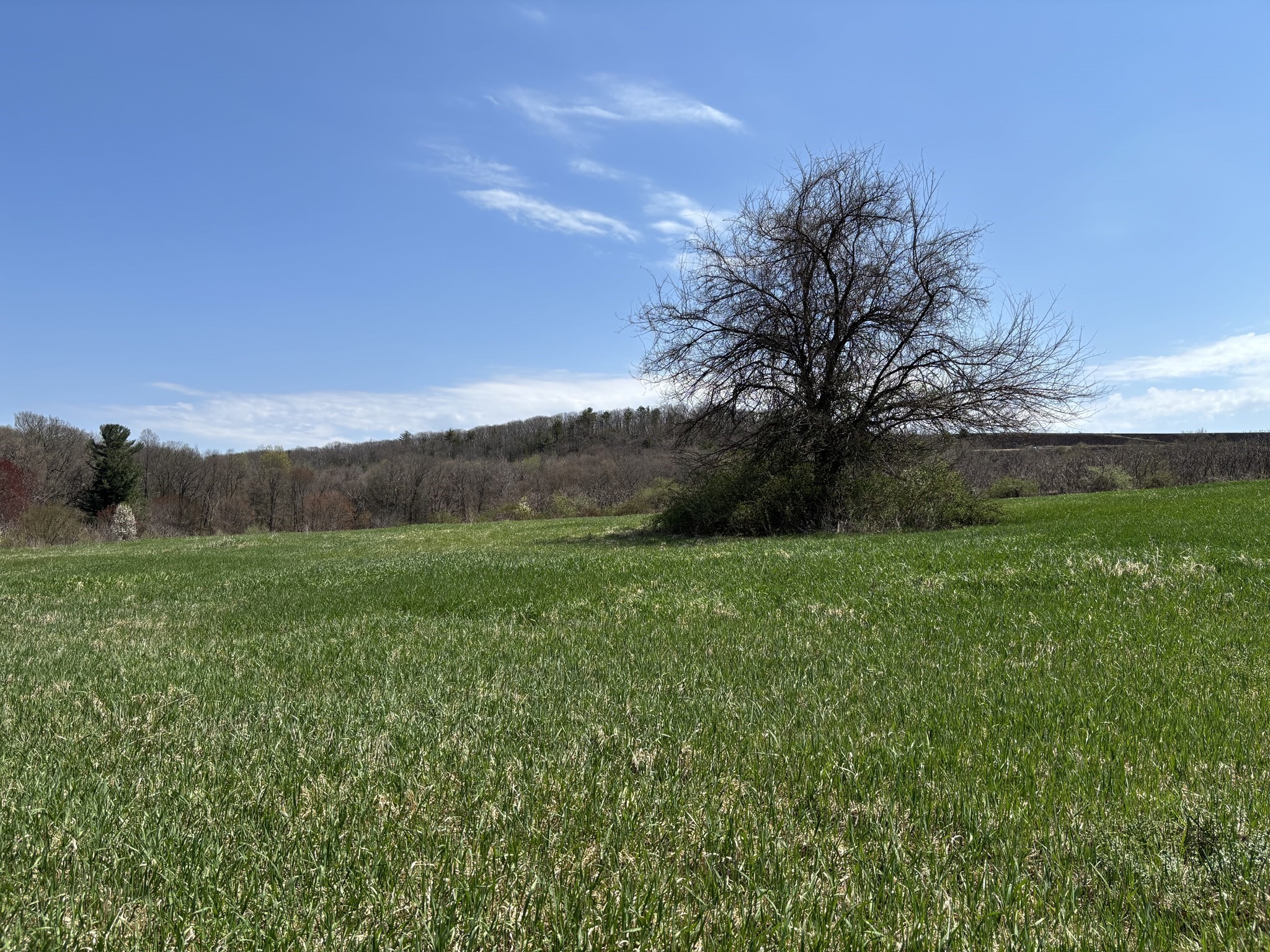 103 Feeding Hills Rd, Westfield, MA 01085 - Image 6