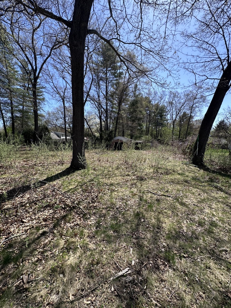 west-springfield - #73366064