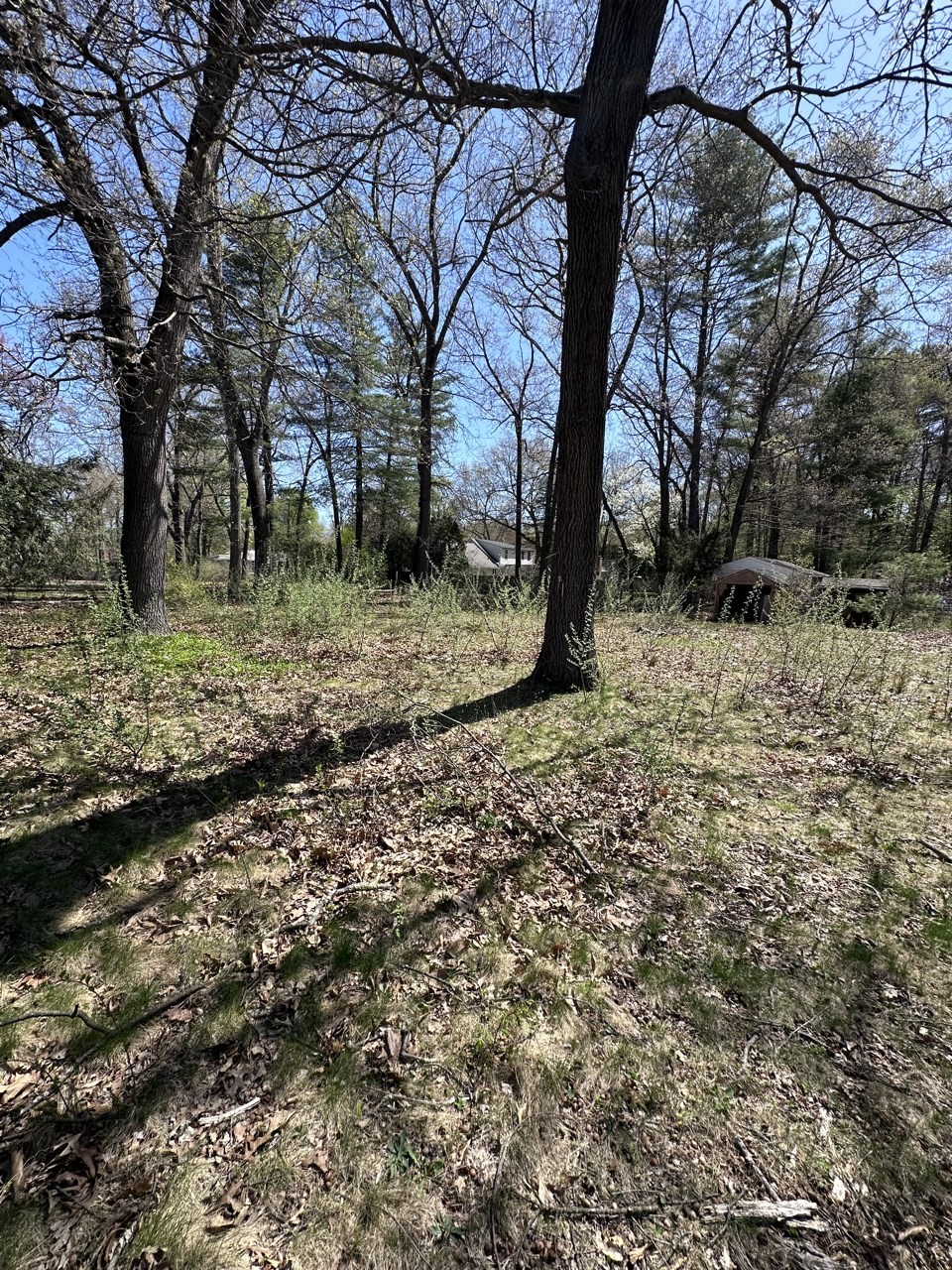 west-springfield - #73366064