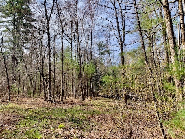 86 W Elm, Lunenburg Rd, Blood Rd, Townsend, MA 01469 - Image 1