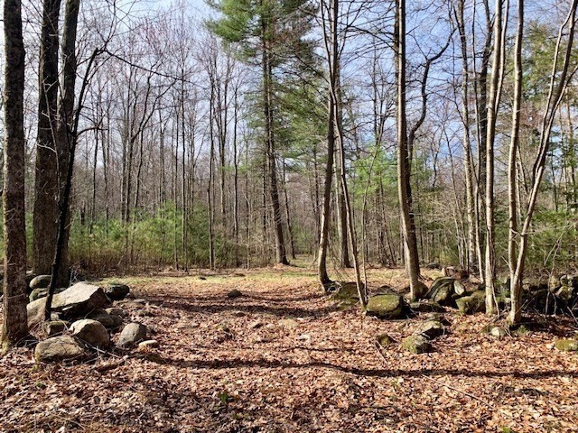 86 W Elm, Lunenburg Rd, Blood Rd, Townsend, MA 01469 - Image 2