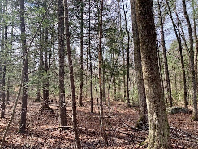 86 W Elm, Lunenburg Rd, Blood Rd, Townsend, MA 01469 - Image 11