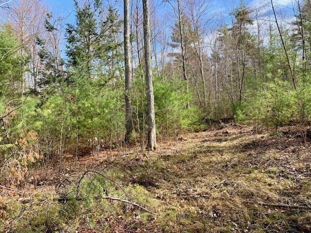 86 W Elm, Lunenburg Rd, Blood Rd, Townsend, MA 01469 - Image 12