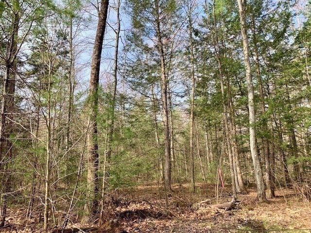 86 W Elm, Lunenburg Rd, Blood Rd, Townsend, MA 01469 - Image 13