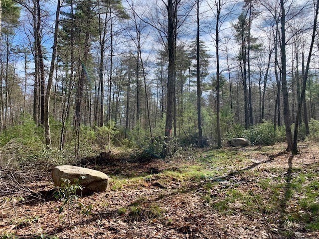 86 W Elm, Lunenburg Rd, Blood Rd, Townsend, MA 01469 - Image 14