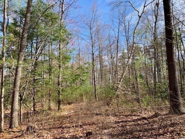 86 W Elm, Lunenburg Rd, Blood Rd, Townsend, MA 01469 - Image 15