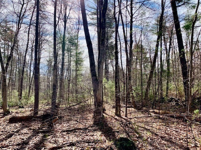 86 W Elm, Lunenburg Rd, Blood Rd, Townsend, MA 01469 - Image 16