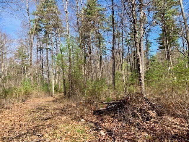 86 W Elm, Lunenburg Rd, Blood Rd, Townsend, MA 01469 - Image 17