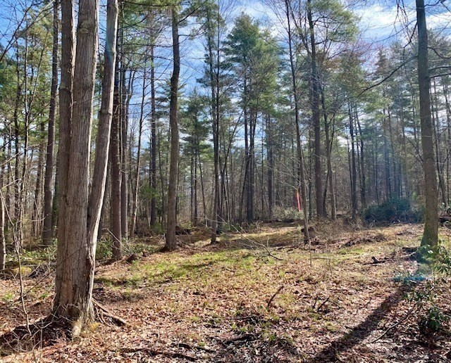 86 W Elm, Lunenburg Rd, Blood Rd, Townsend, MA 01469 - Image 18