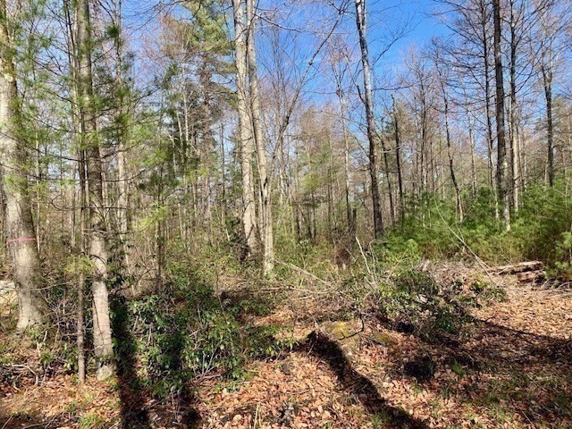 86 W Elm, Lunenburg Rd, Blood Rd, Townsend, MA 01469 - Image 19