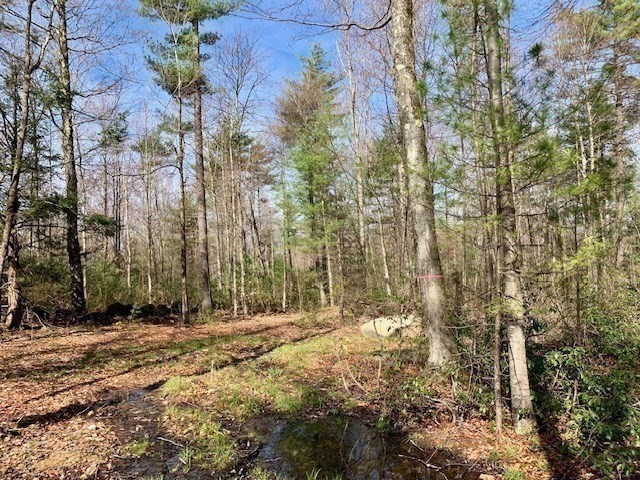 86 W Elm, Lunenburg Rd, Blood Rd, Townsend, MA 01469 - Image 20