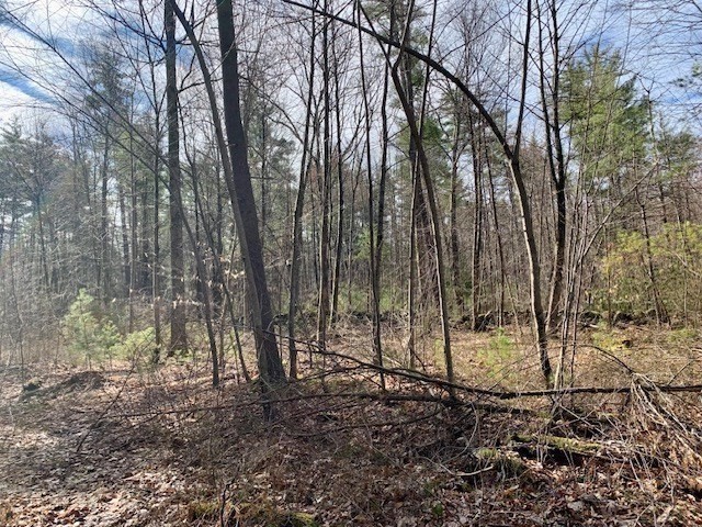 86 W Elm, Lunenburg Rd, Blood Rd, Townsend, MA 01469 - Image 21