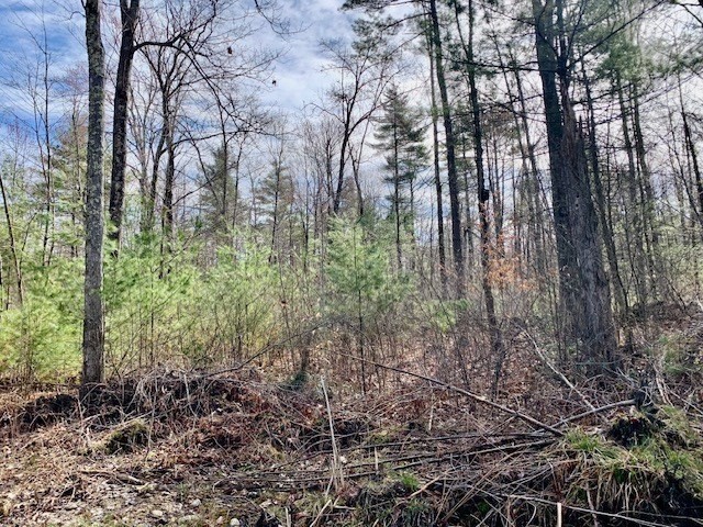 86 W Elm, Lunenburg Rd, Blood Rd, Townsend, MA 01469 - Image 22