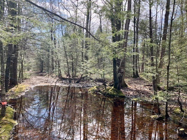 86 W Elm, Lunenburg Rd, Blood Rd, Townsend, MA 01469 - Image 23