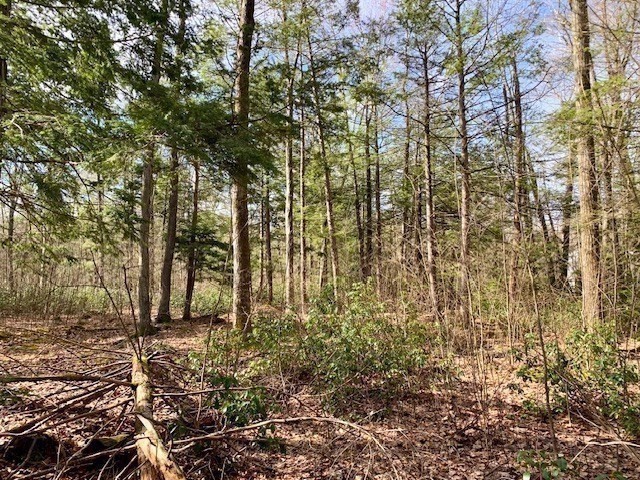 86 W Elm, Lunenburg Rd, Blood Rd, Townsend, MA 01469 - Image 8