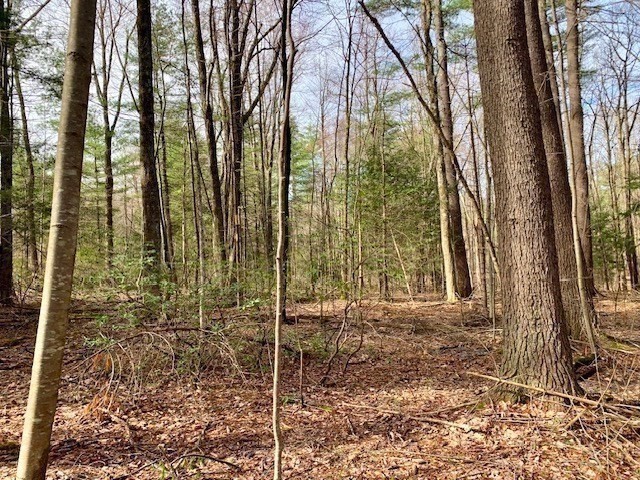 86 W Elm, Lunenburg Rd, Blood Rd, Townsend, MA 01469 - Image 9