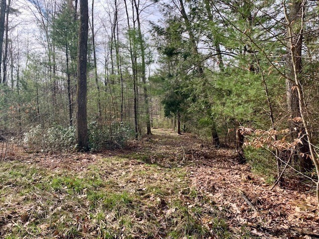 86 W Elm, Lunenburg Rd, Blood Rd, Townsend, MA 01469 - Image 10