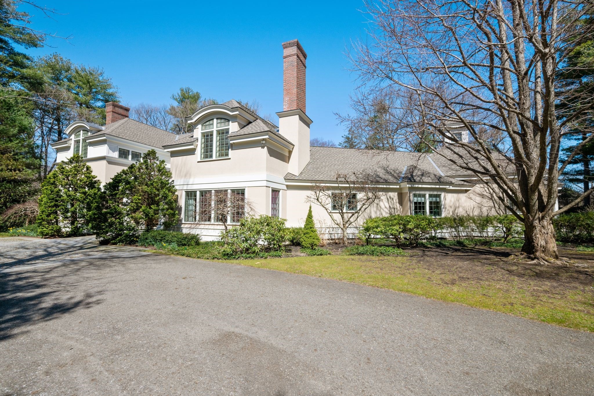 belmont - #73366675