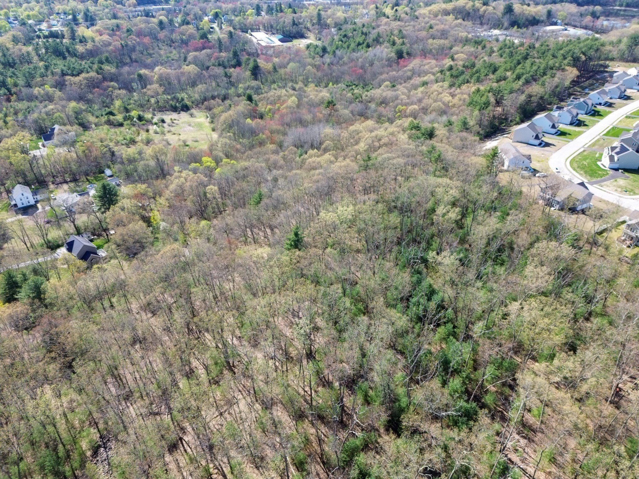 grafton - #73366707