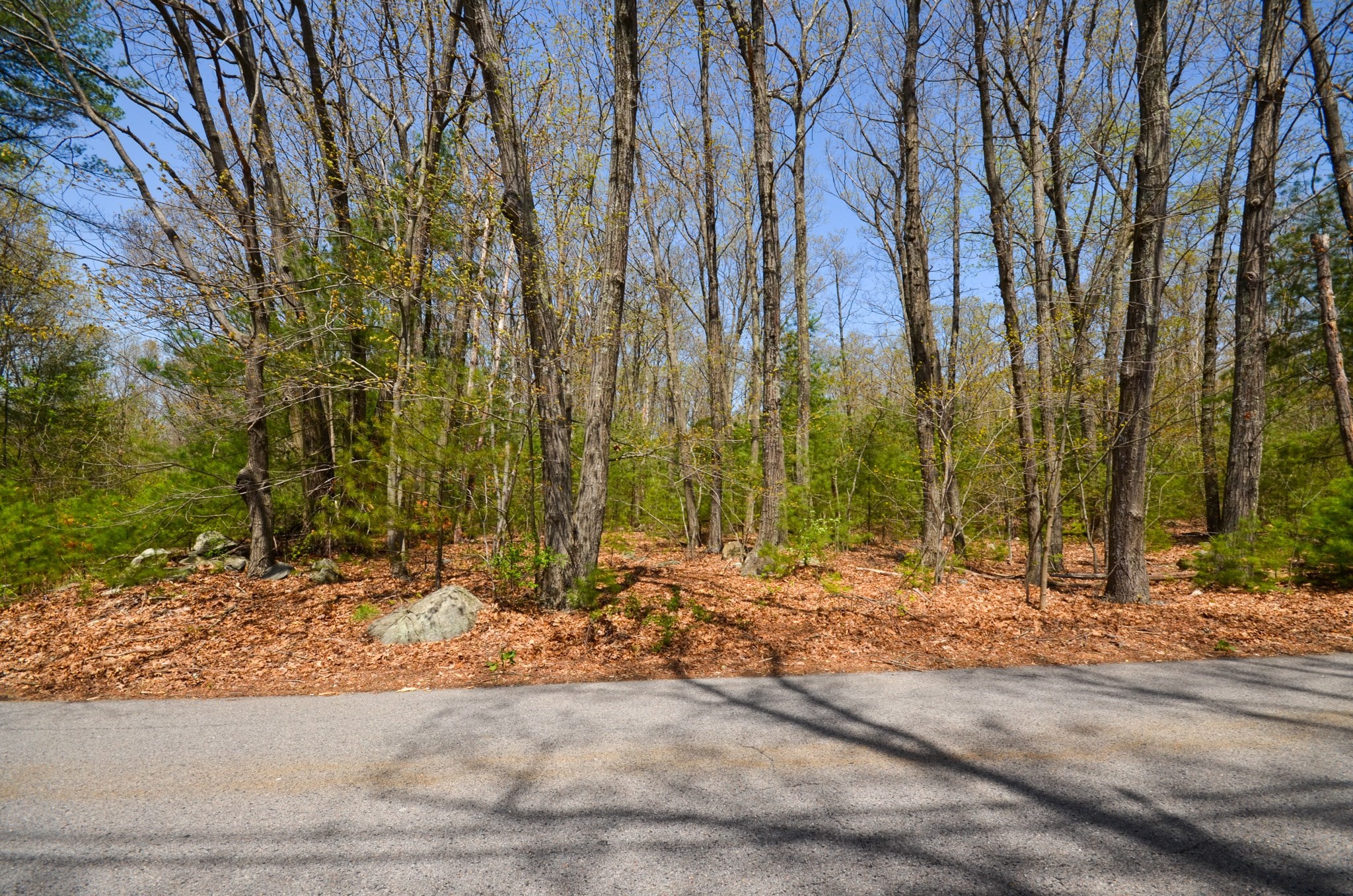 grafton - #73366707