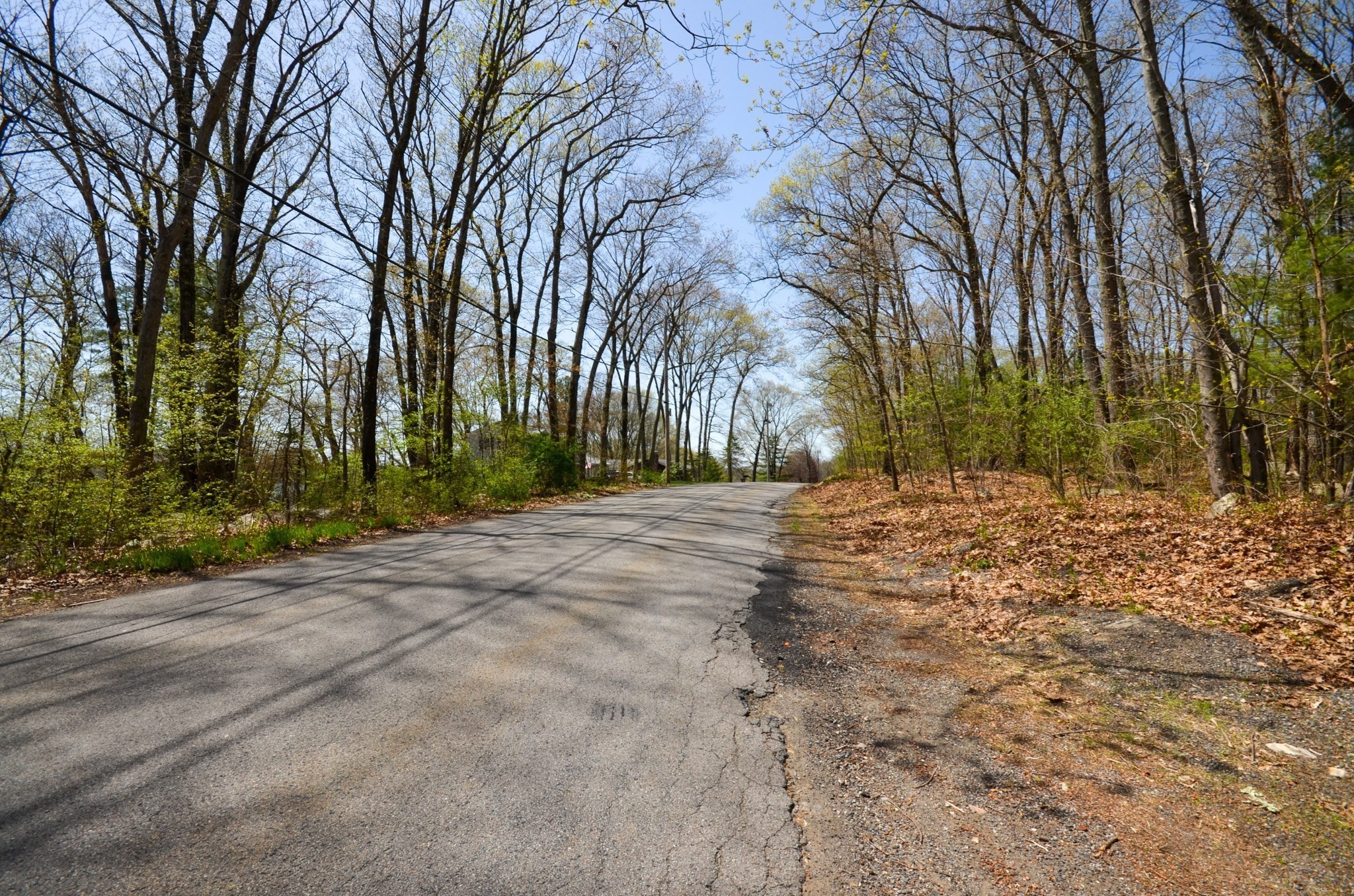grafton - #73366707