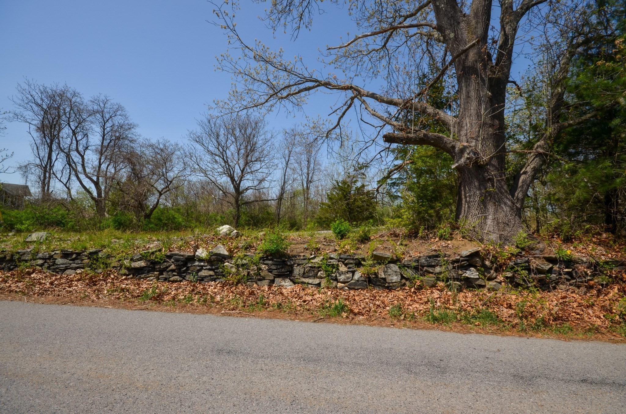 grafton - #73366707