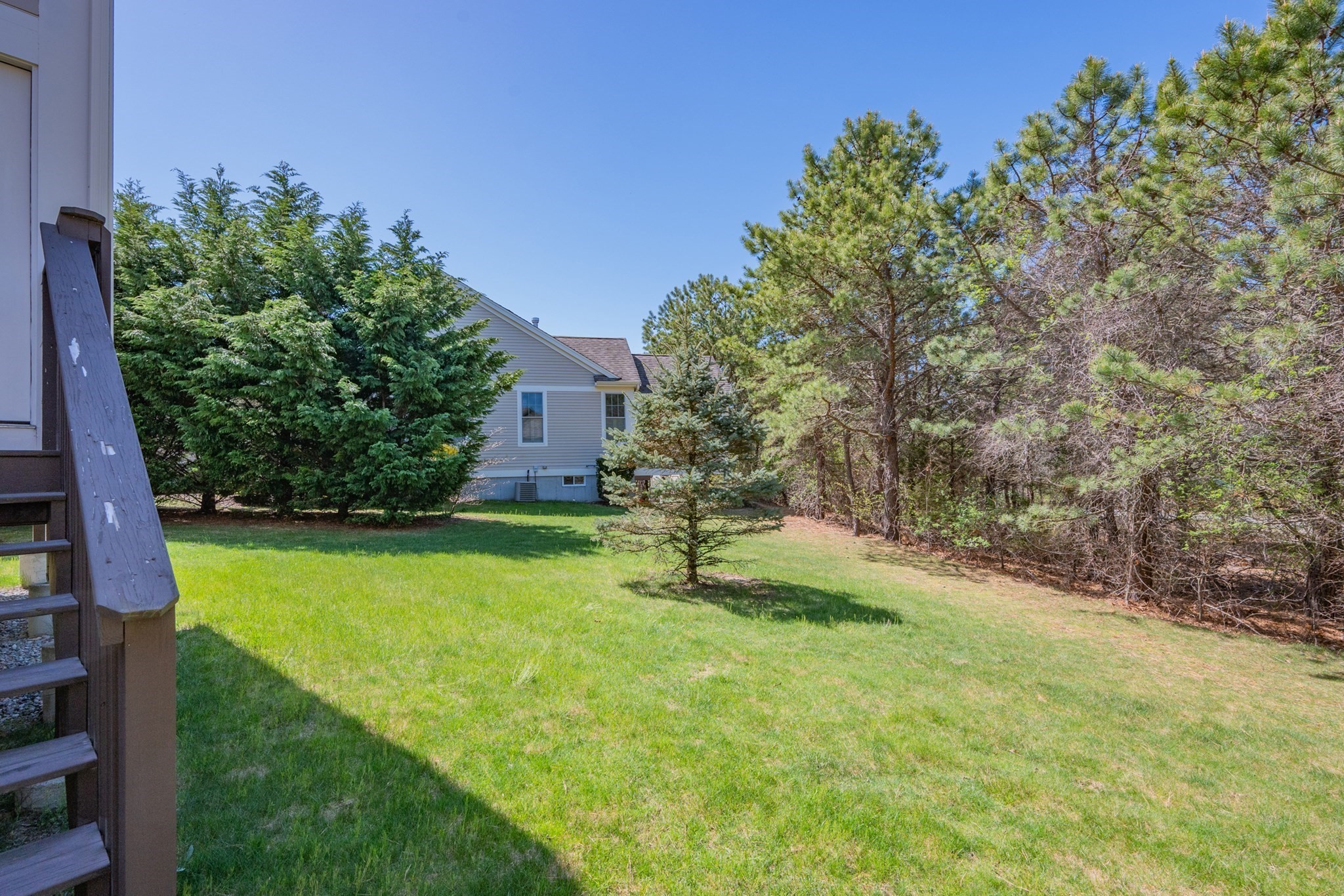 mashpee - #73367775
