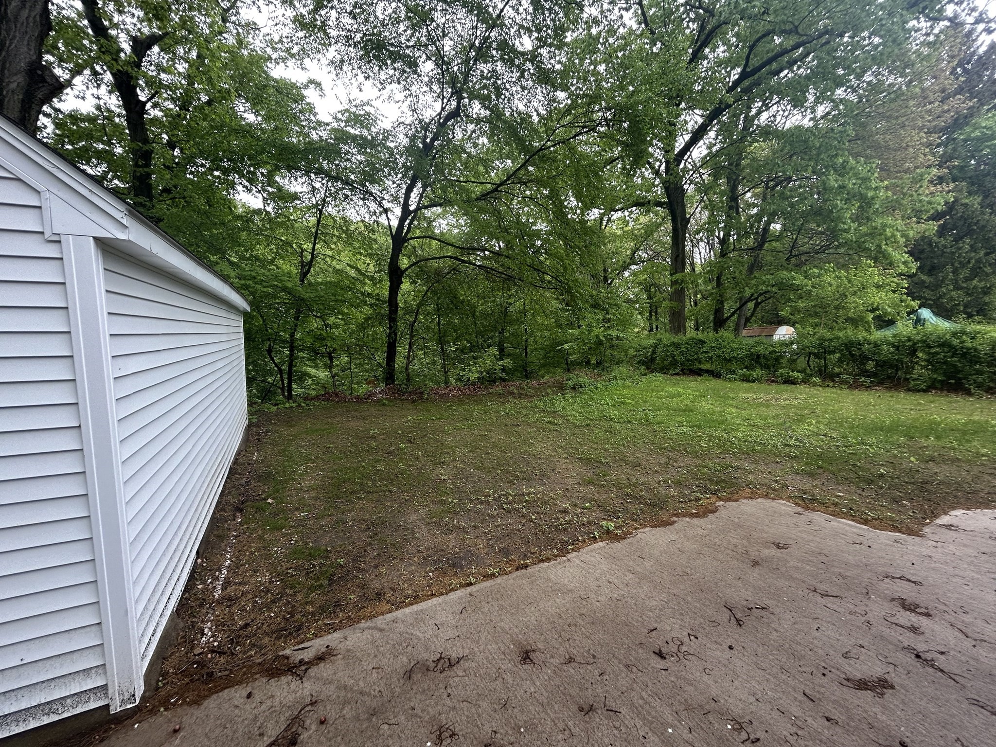 chicopee - #73367857