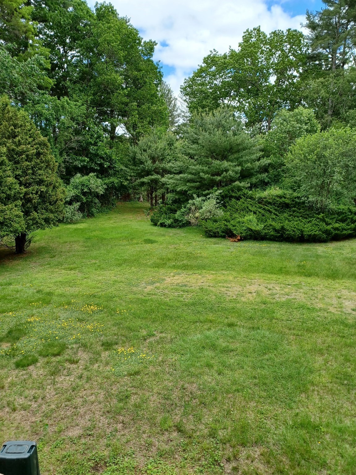 westford - #73368524