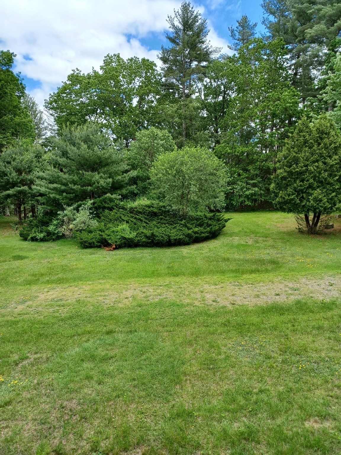 westford - #73368524