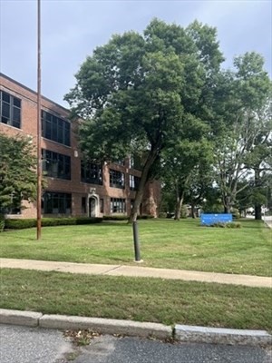 framingham - #73368940