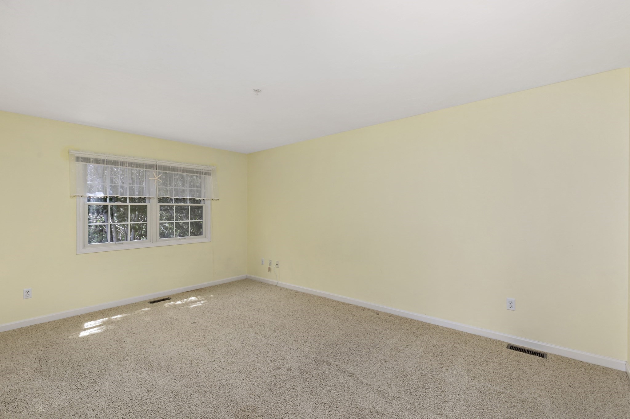 mashpee - #73369572