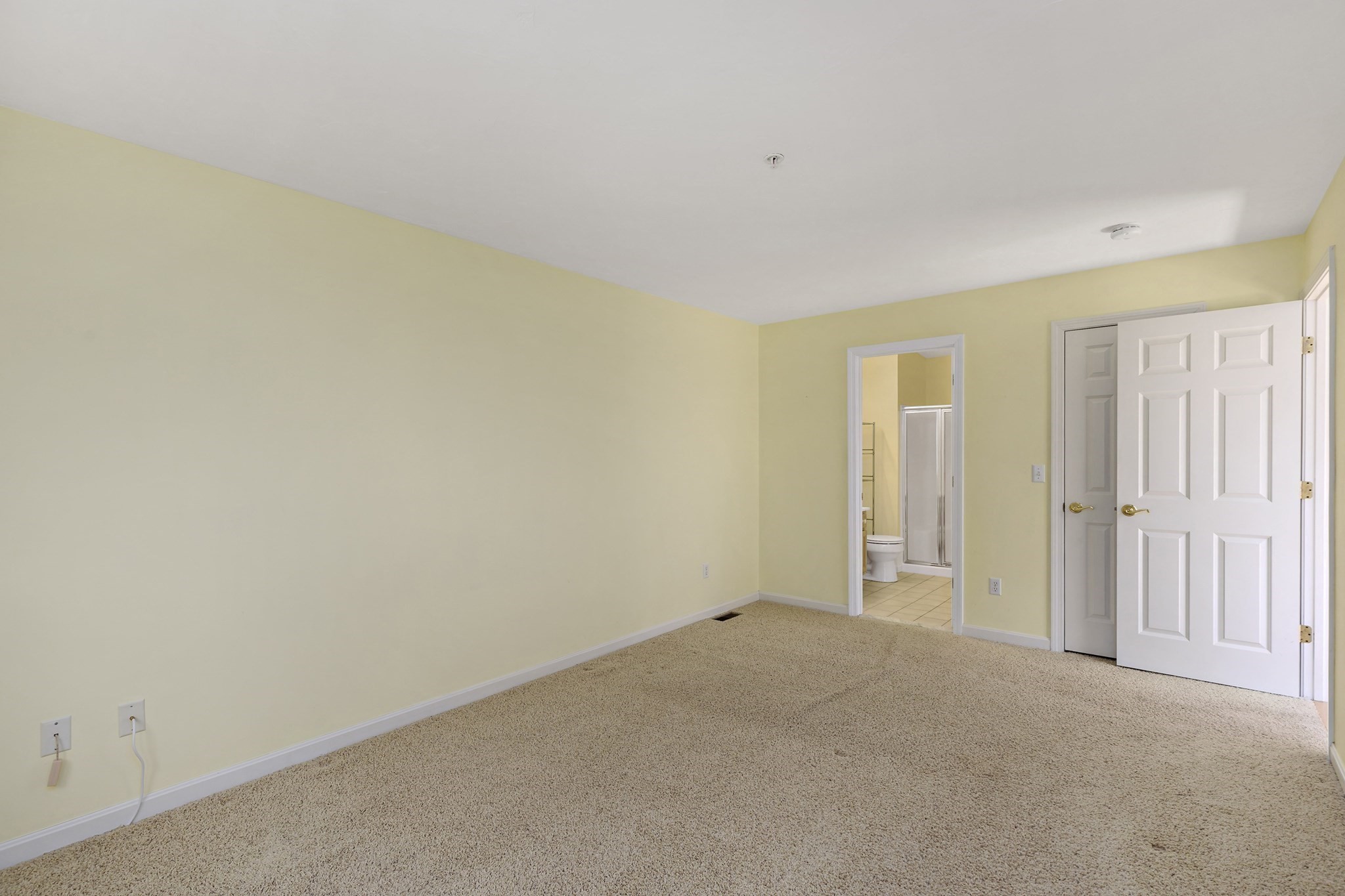 mashpee - #73369572