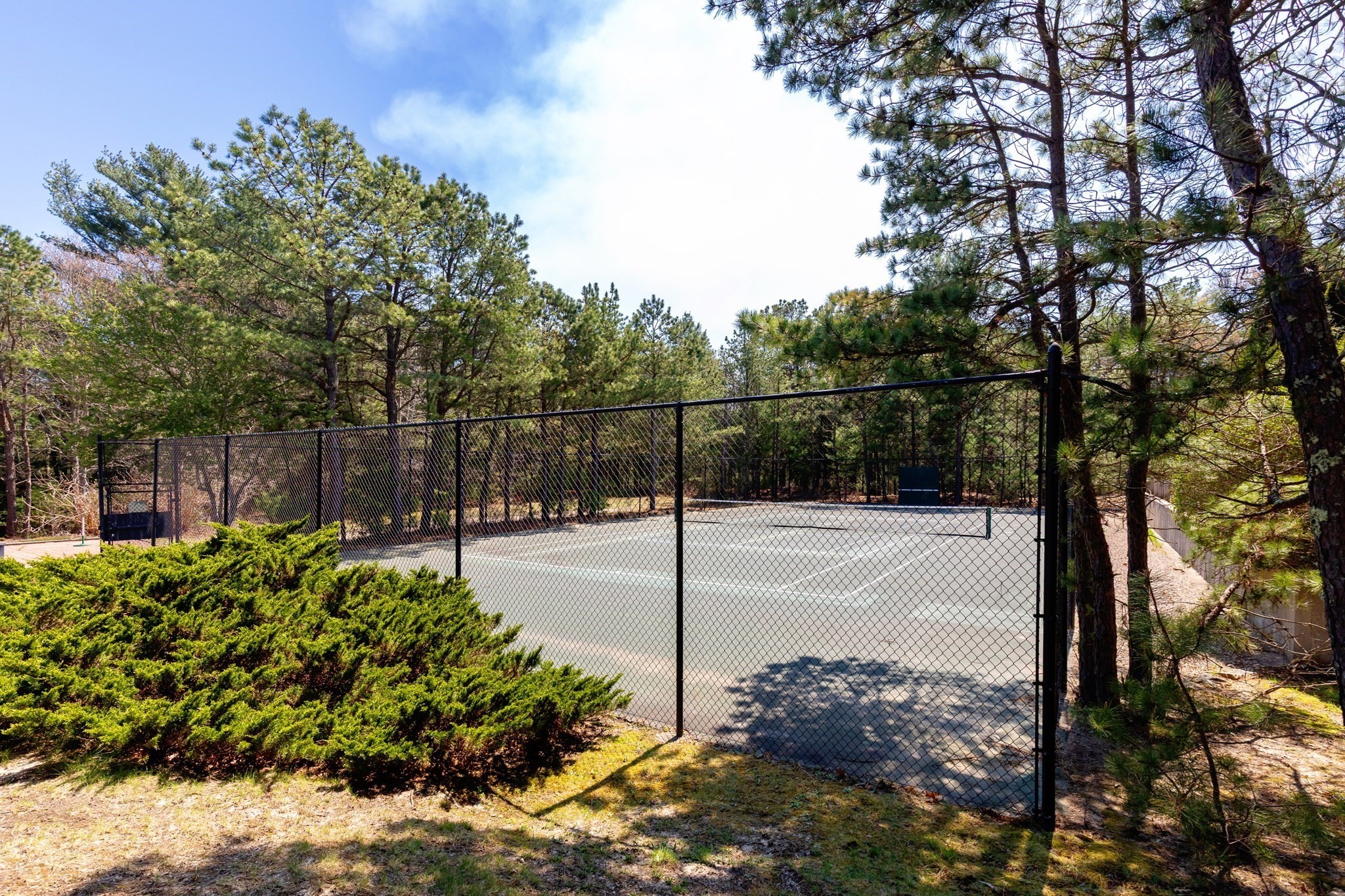 mashpee - #73369572