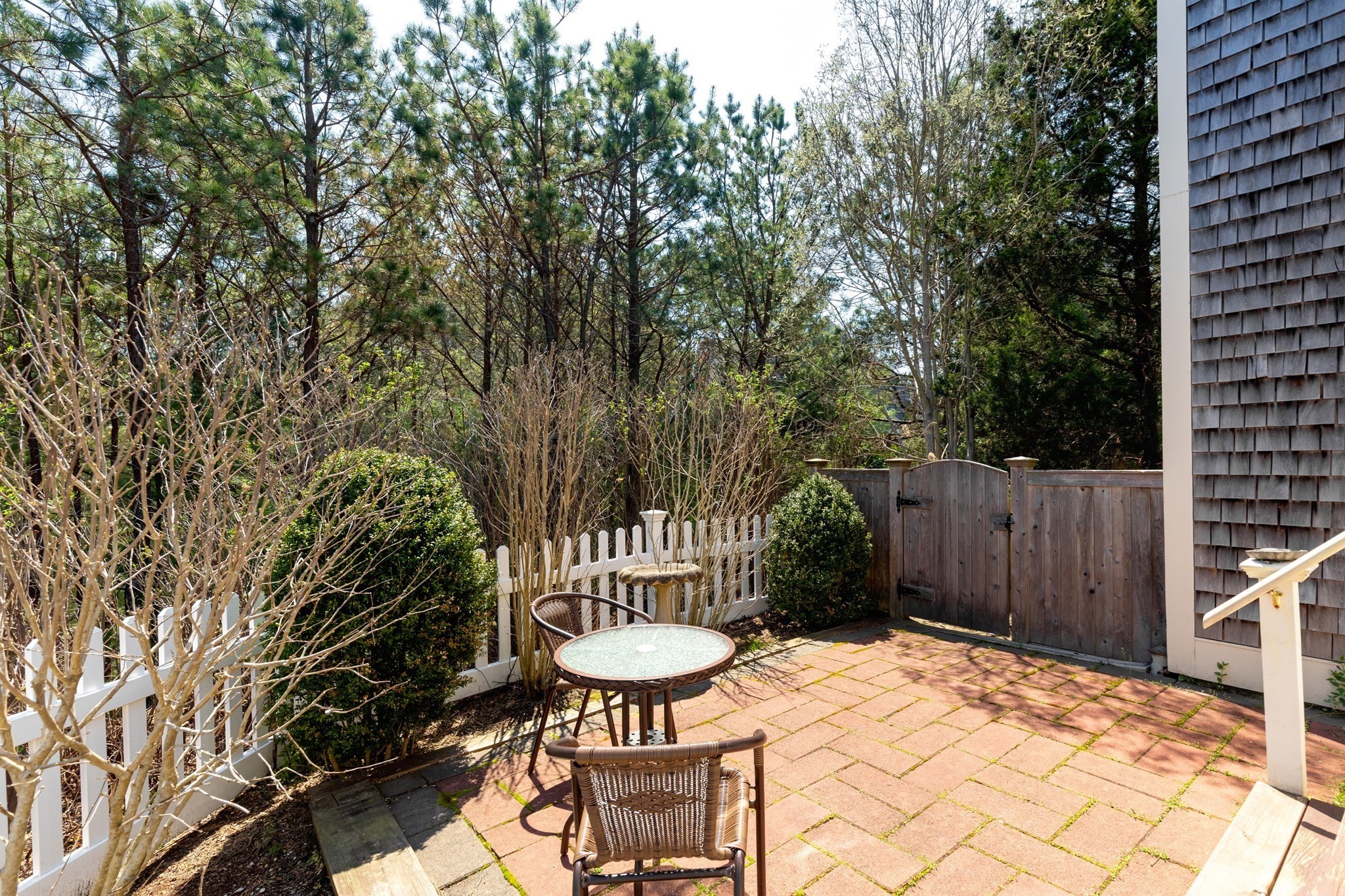 mashpee - #73369572