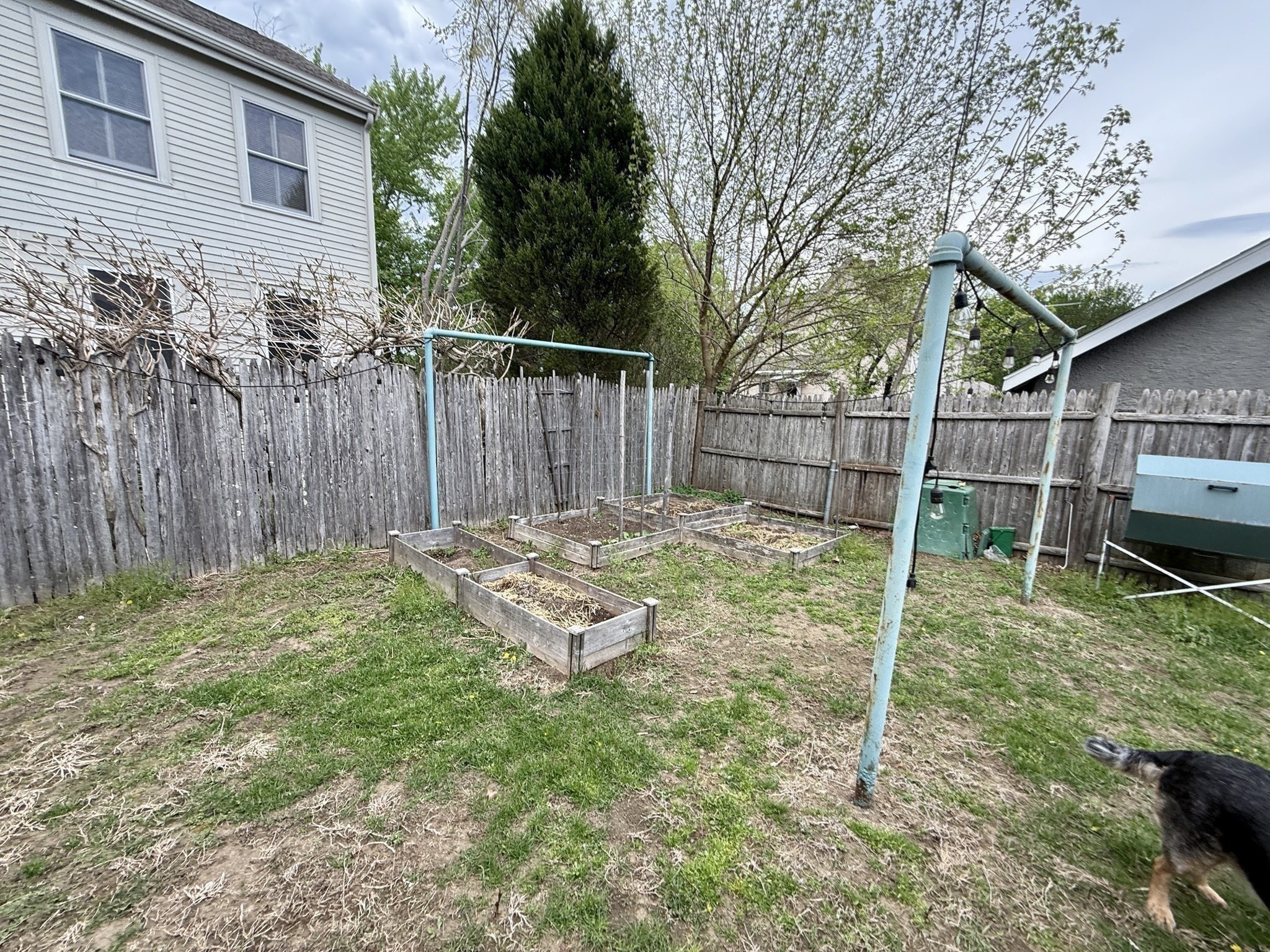 36 Davenport Rd, Needham, MA 02494 - Image 24