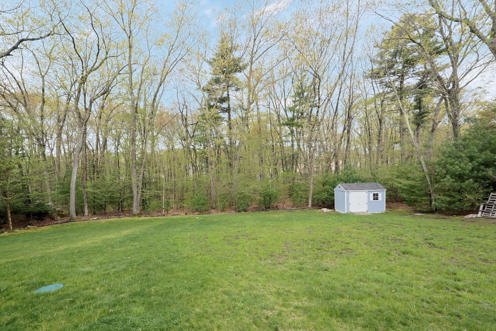 holliston - #73370071