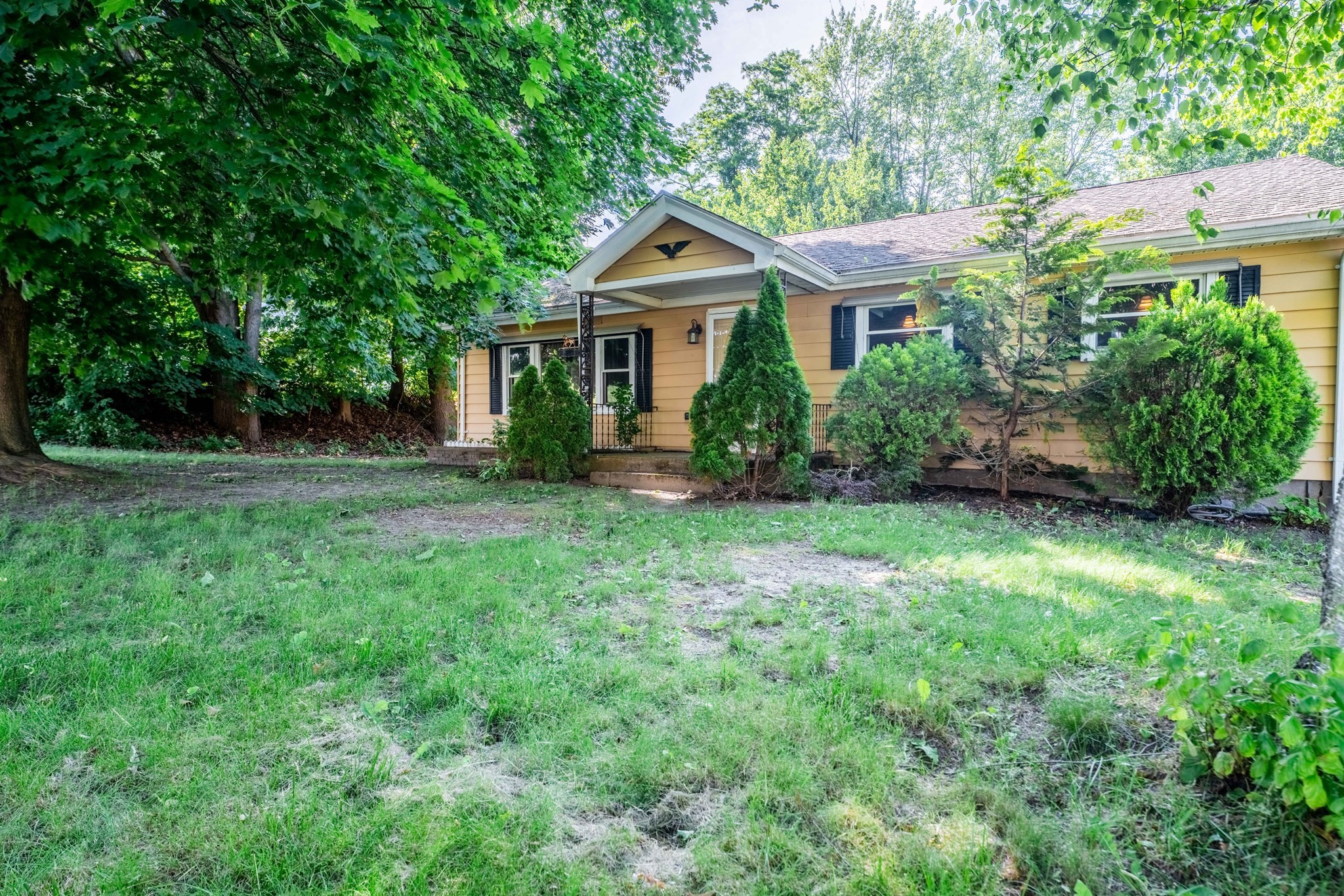 chicopee - #73370648