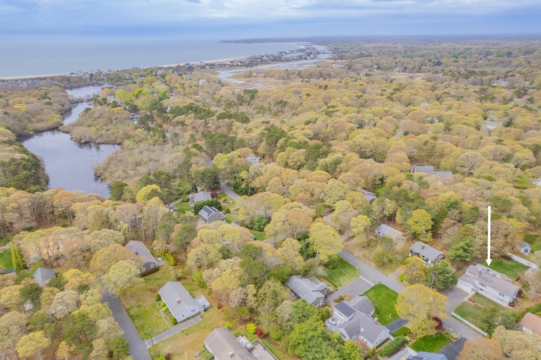 barnstable - #73371683