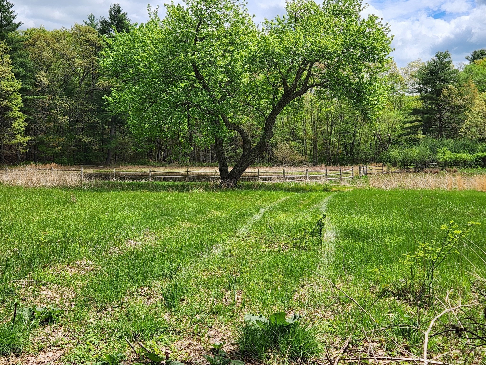 65 Farm Road Lot 6, Sherborn, MA 01770
