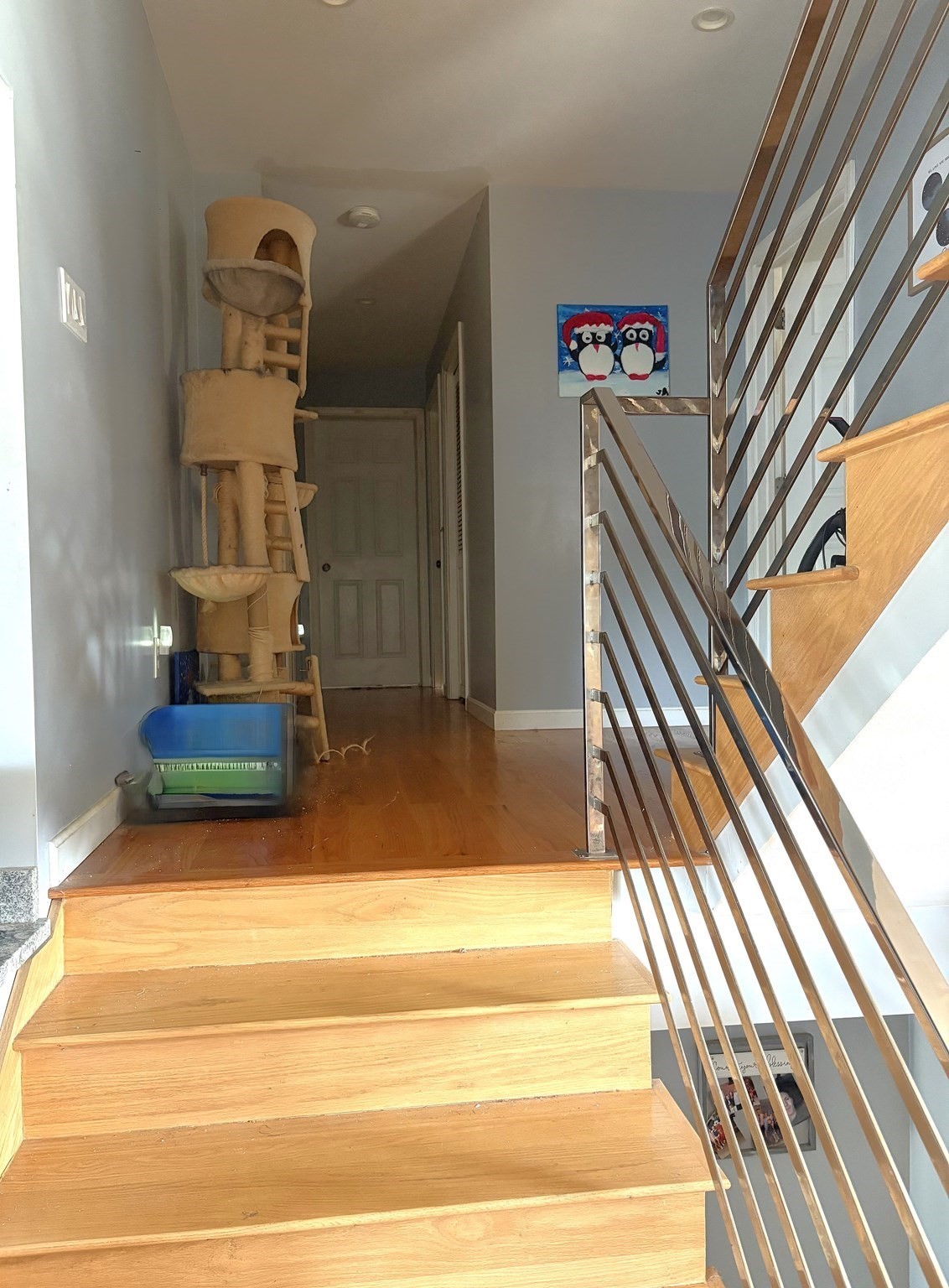 63 Doonan St, Medford, MA 02155 - Image 10