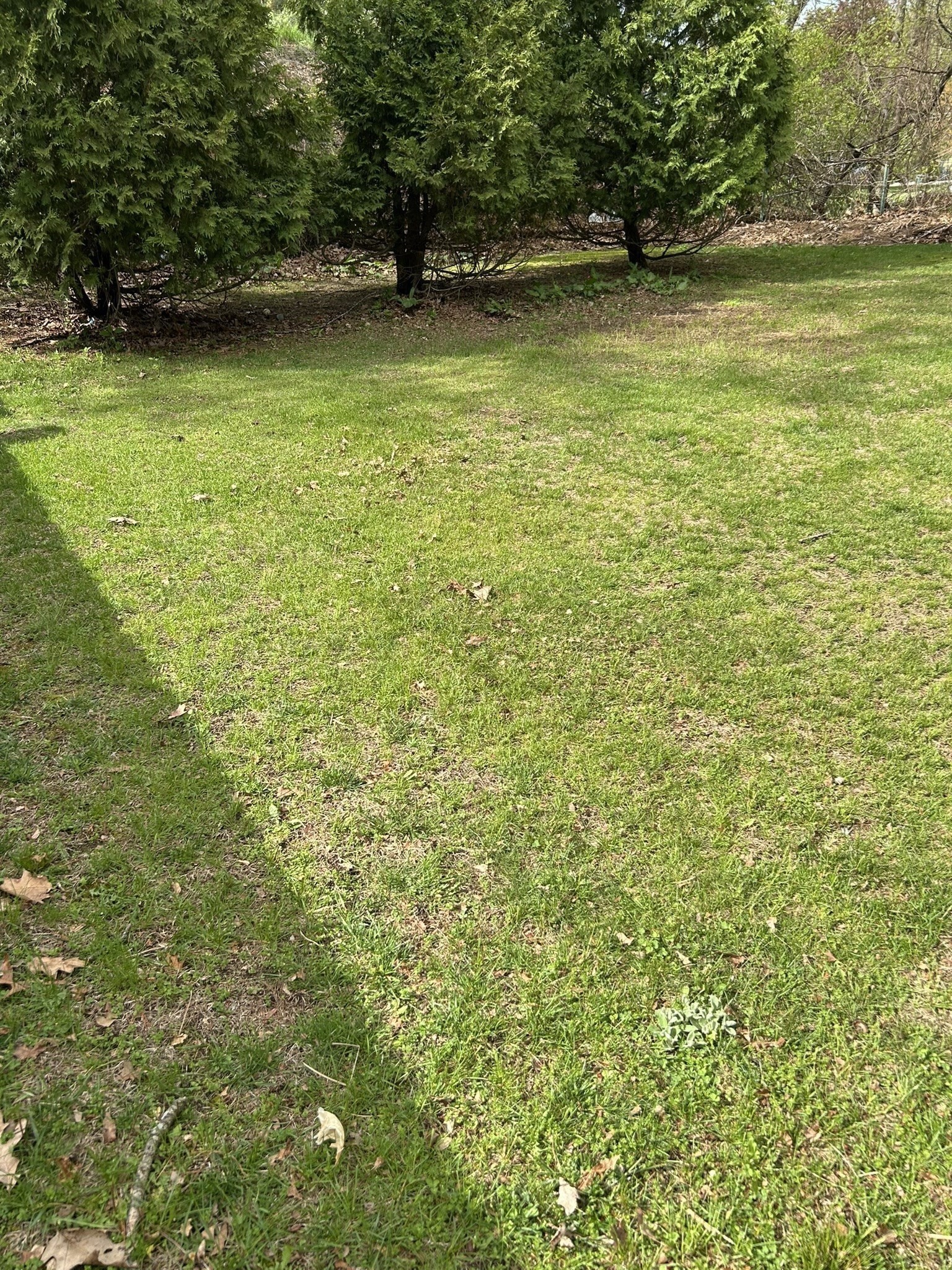 billerica - #73372913