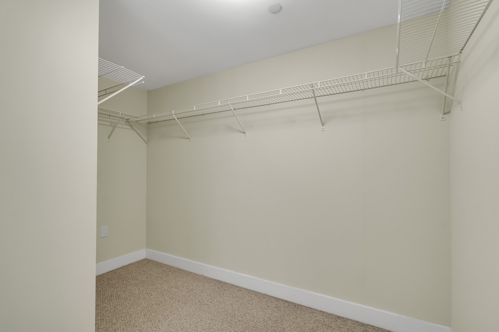 brookline - #73373657