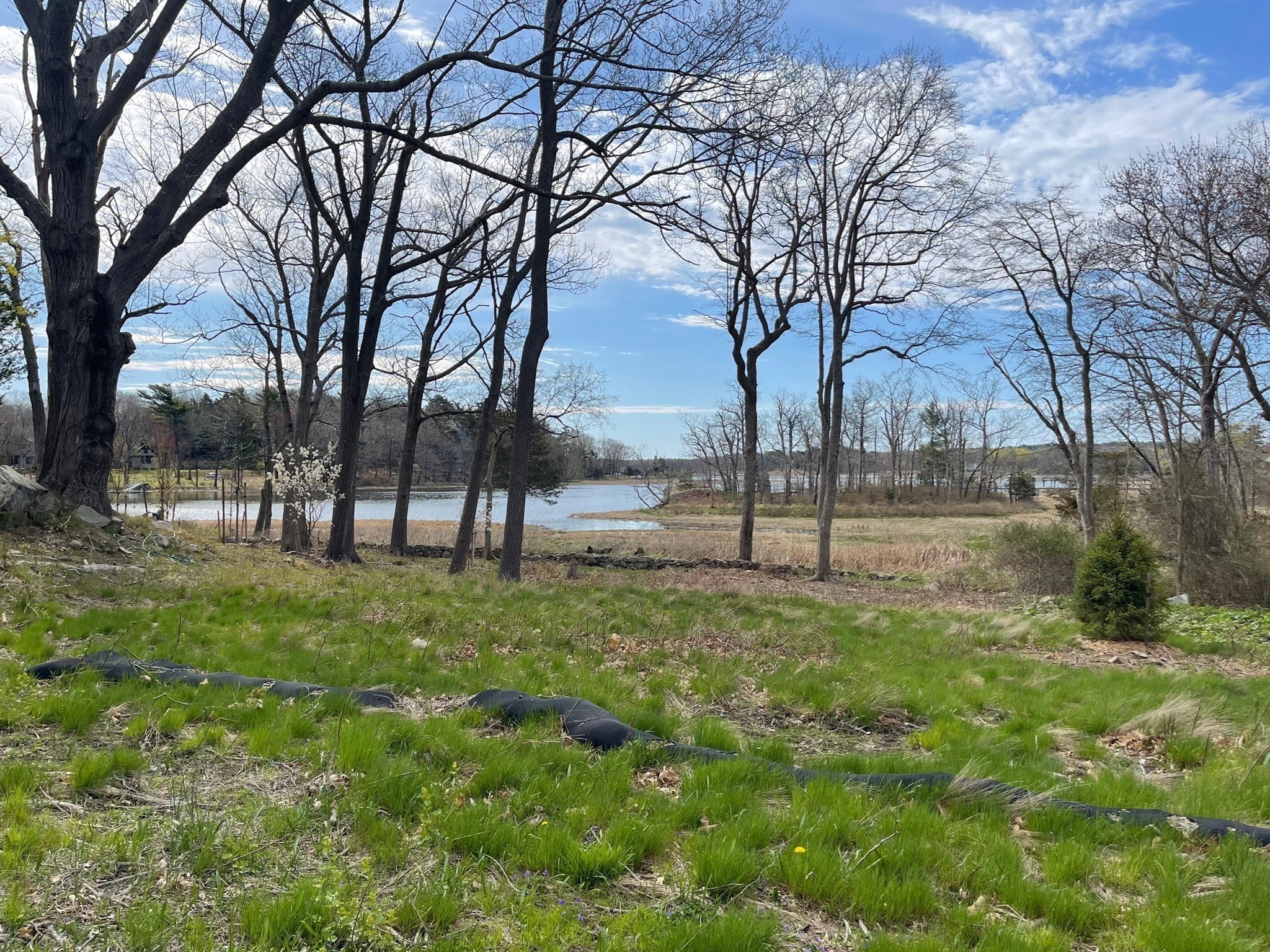 98 Black Horse Lane, Cohasset, MA 02025 - Image 1