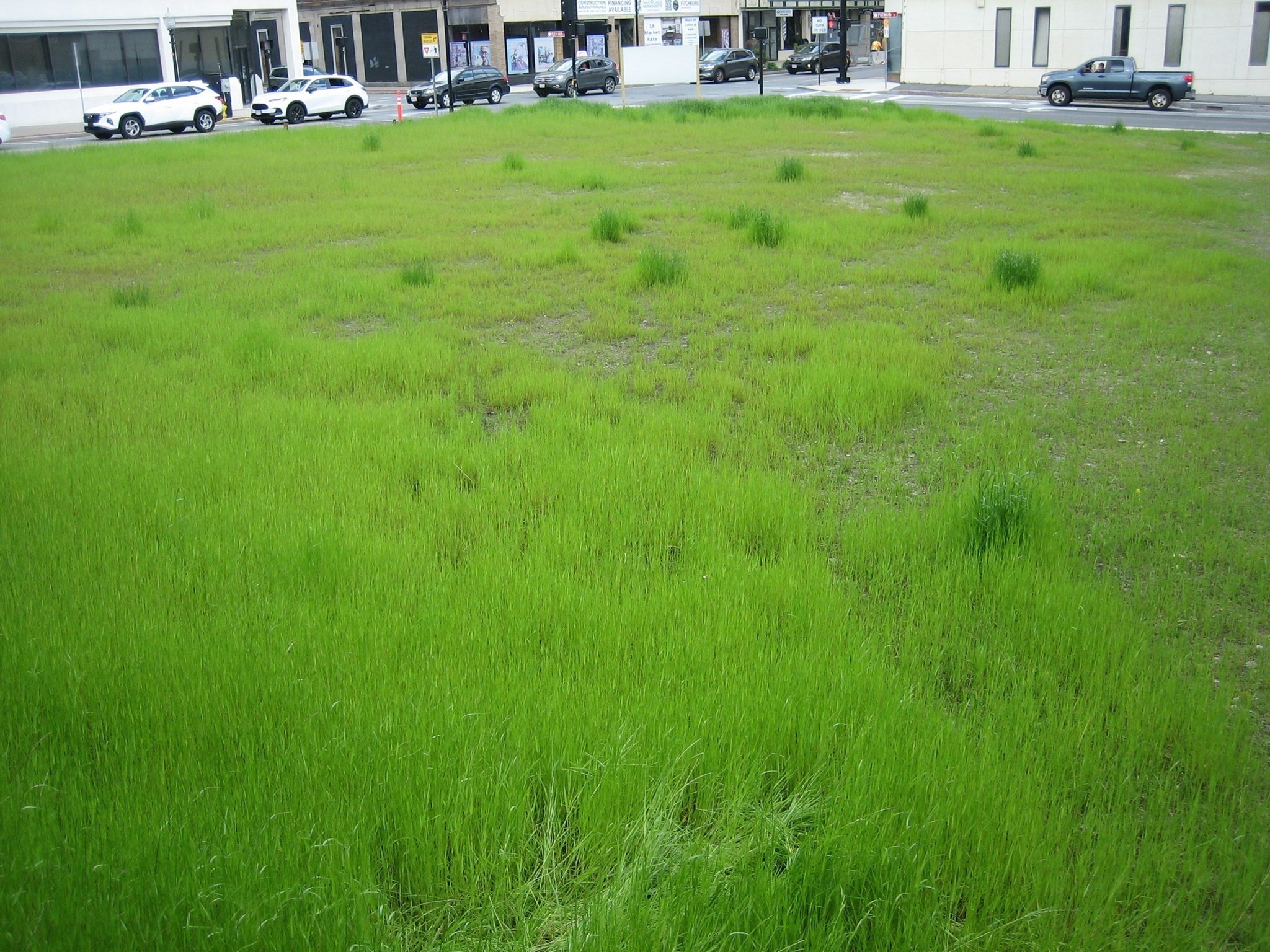 520 Main St., Fitchburg, MA 01420 - Image 5